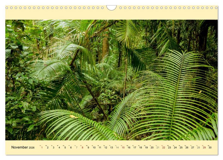 Produktbild: Australien - Der vielseitige Osten (Wandkalender 2026 DIN A3 quer), CALVENDO Monatskalender