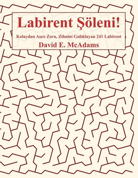 Produktbild: Labirent &iquest;&ouml;leni!