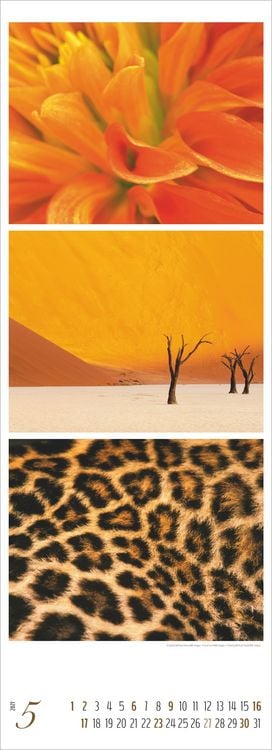 Produktbild: Colours of Nature - Triplets 2027