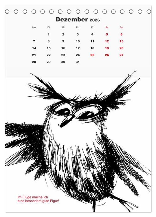 Produktbild: Vor dem Spiegel 2026 (Tischkalender 2026 DIN A5 hoch), CALVENDO Monatskalender