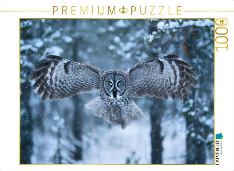 Produktbild: CALVENDO Puzzle Eule, die W&auml;chterin der Nacht | 1000 Teile Lege-Gr&ouml;&szlig;e 64x48cm Foto-Puzzle f&uuml;r gl&uuml;ckliche Stunden