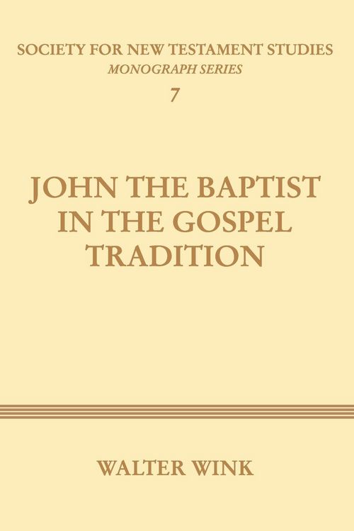 Produktbild: John The Baptist in the Gospel Tradition