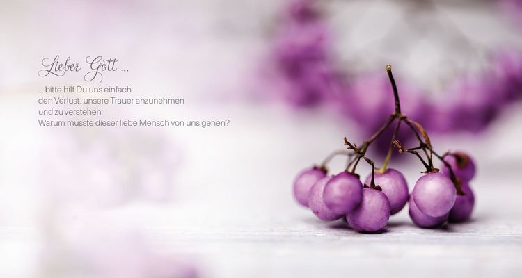 Produktbild: Trauerbuch f&uuml;r die Familie