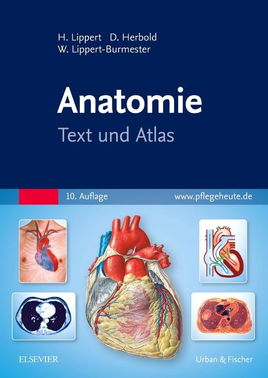 Produktbild: Anatomie