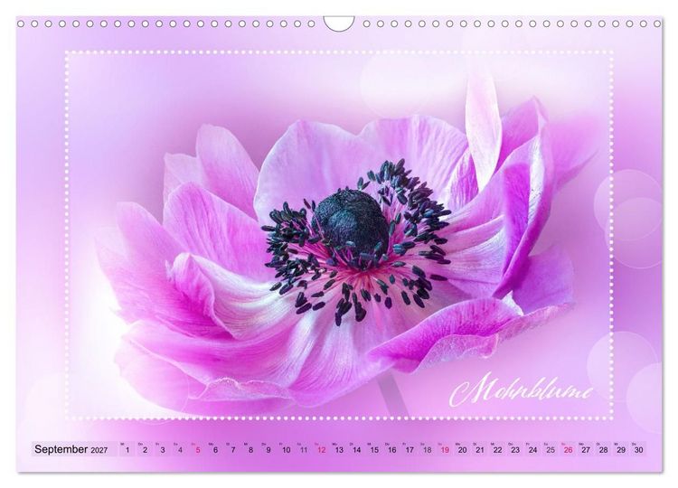 Produktbild: Bl&uuml;tenbouquet (Wandkalender 2027 DIN A3 quer), CALVENDO Monatskalender