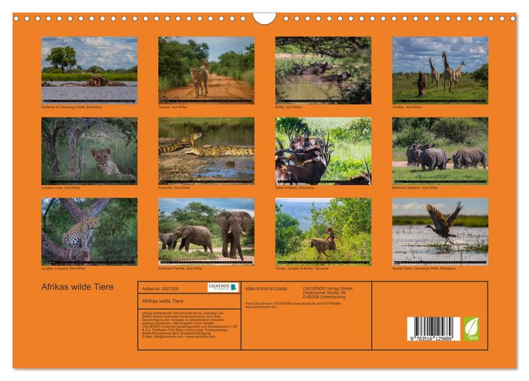 Produktbild: Afrikas wilde Tiere (Wandkalender 2026 DIN A3 quer), CALVENDO Monatskalender