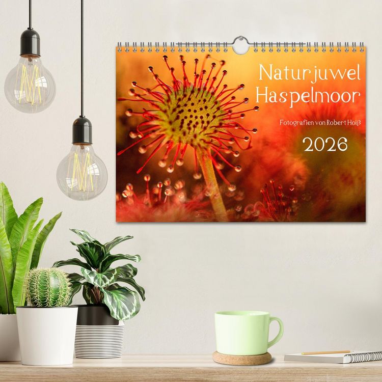 Produktbild: Naturjuwel Haspelmoor (Wandkalender 2026 DIN A4 quer), CALVENDO Monatskalender