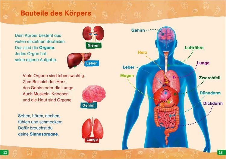 Produktbild: WAS IST WAS Erstes Lesen easy! Band 13. Was unser K&ouml;rper alles kann