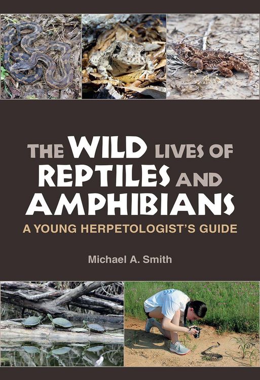 Produktbild: The Wild Lives of Reptiles and Amphibians