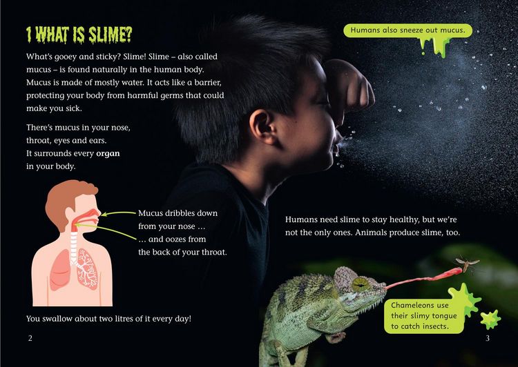 Produktbild: BIG CAT SLIME
