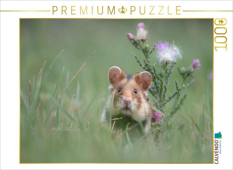 Produktbild: CALVENDO Puzzle Ein Motiv aus dem Kalender Moments in Nature | 1000 Teile Lege-Gr&ouml;&szlig;e 64x48cm Foto-Puzzle f&uuml;r gl&uuml;ckliche Stunden