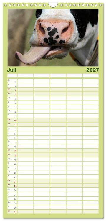 Produktbild: Familienplaner 2027 - Muuuhhh! mit 5 Spalten (Wandkalender, 21 x 45 cm) CALVENDO