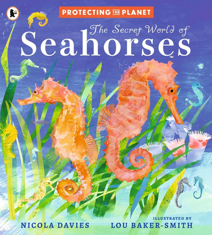 Produktbild: Protecting the Planet: The Secret World of Seahorses