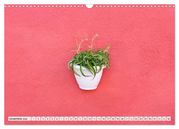 Produktbild: Burano et Minimalisme (Calendrier mural 2026 DIN A3 vertical), CALVENDO calendrier mensuel