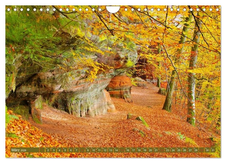 Produktbild: Der Altschlossfelsen - Gr&ouml;&szlig;te Felsformation der Pfalz im herbstlichen Farbspiel (Wandkalender 2026 DIN A4 quer), CALVENDO Monatskalender