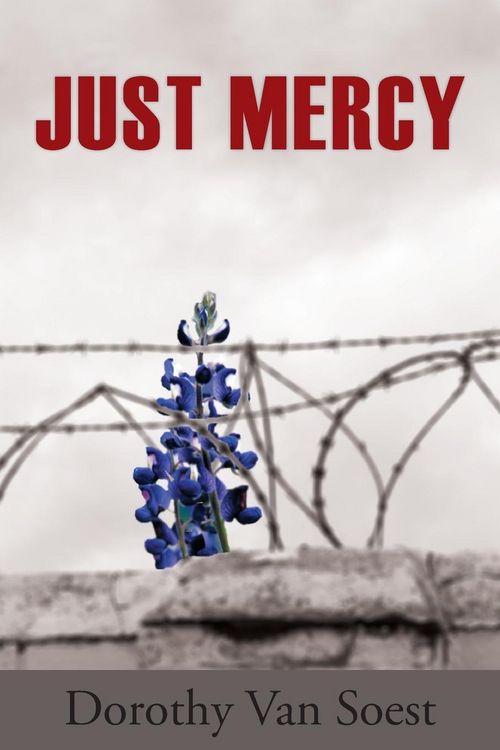 Produktbild: Just Mercy