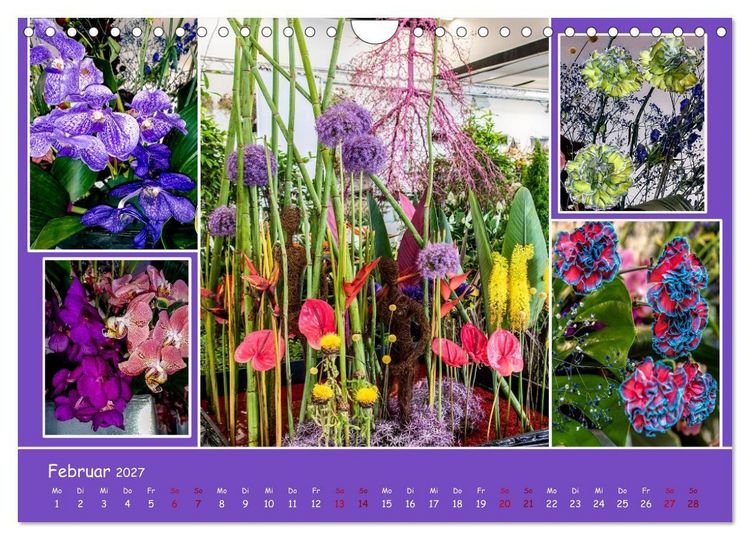 Produktbild: Erfurt erbl&uuml;ht (Wandkalender 2027 DIN A4 quer), CALVENDO Monatskalender