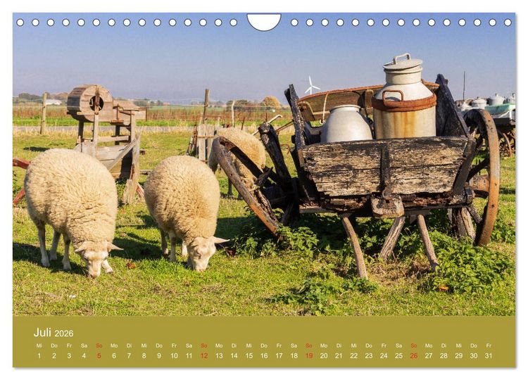 Produktbild: M&ouml;n, Impressionen einer d&auml;nischen Insel (Wandkalender 2026 DIN A4 quer), CALVENDO Monatskalender