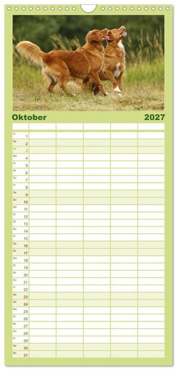 Produktbild: Familienplaner 2027 - Nova Scotia Duck Tolling Retriever mit 5 Spalten (Wandkalender, 21 x 45 cm) CALVENDO