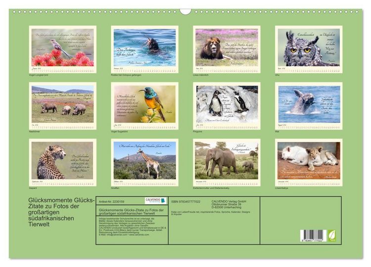 Produktbild: Gl&uuml;cksmomente Gl&uuml;cks-Zitate zu Fotos der gro&szlig;artigen s&uuml;dafrikanischen Tierwelt (Wandkalender 2026 DIN A2 quer), CALVENDO Monatskalender