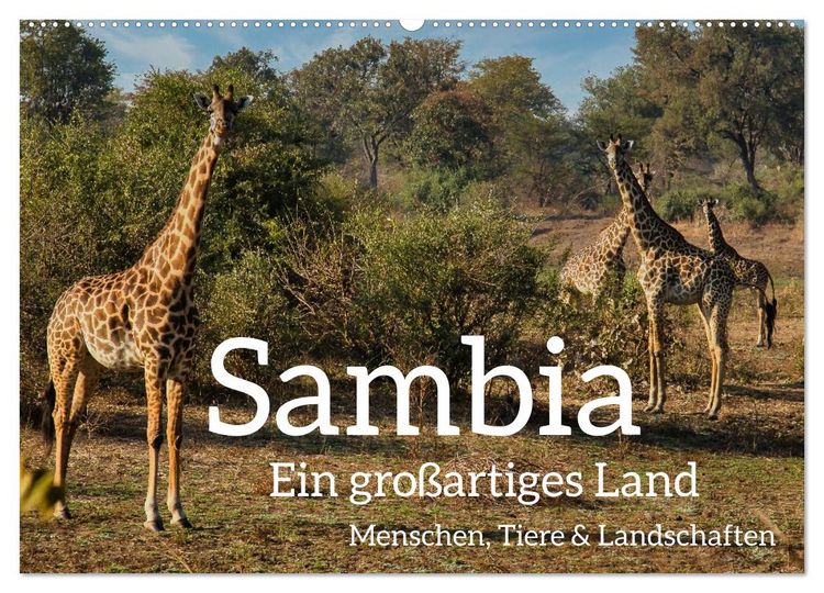 Produktbild: Sambia - ein gro&szlig;artiges Land (Wandkalender 2026 DIN A2 quer), CALVENDO Monatskalender