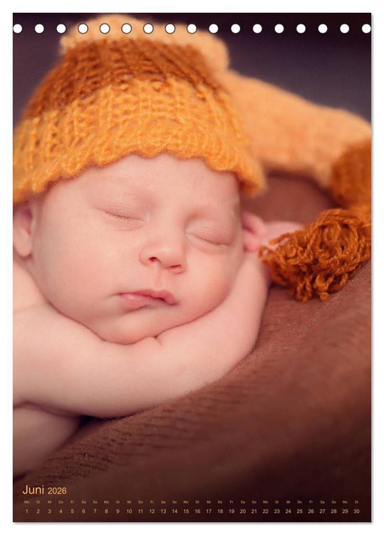 Produktbild: Babys - Die Liebe des Lebens (Tischkalender 2026 DIN A5 hoch), CALVENDO Monatskalender