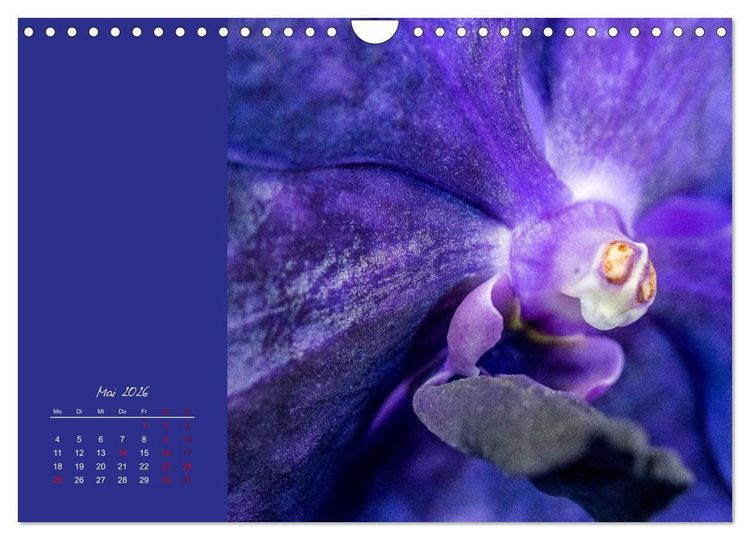 Produktbild: Bl&uuml;tenstil (Wandkalender 2026 DIN A4 quer), CALVENDO Monatskalender