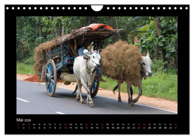 Produktbild: Sri Lanka Impressionen (Wandkalender 2026 DIN A4 quer), CALVENDO Monatskalender