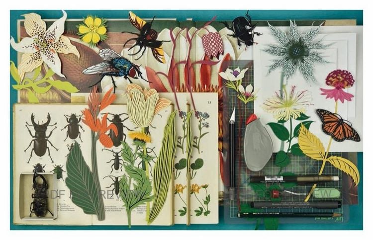 Produktbild: Papercut