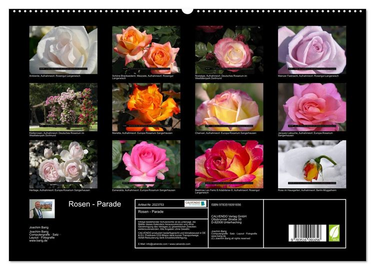 Produktbild: Rosen - Parade (hochwertiger Premium Wandkalender 2026 DIN A2 quer), Kunstdruck in Hochglanz