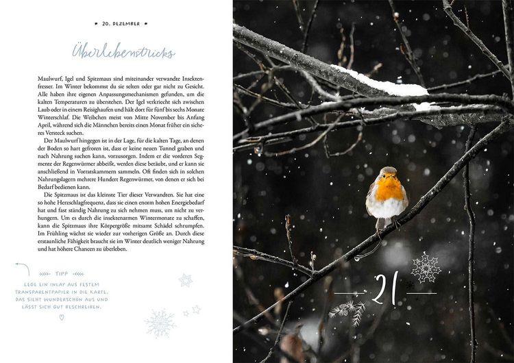 Produktbild: Winter Moments in Nature &ndash; der Adventskalender