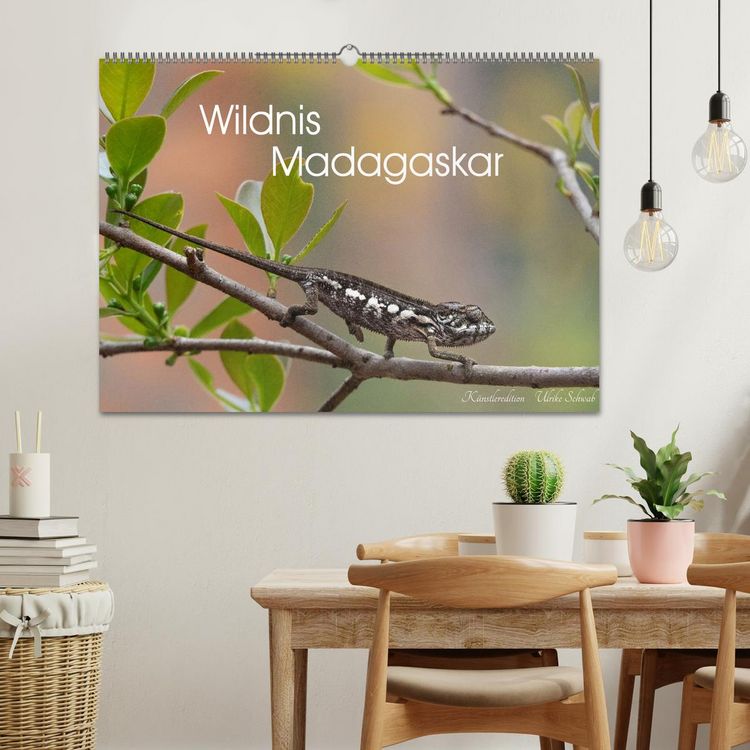 Produktbild: Wildnis Madagaskar (Wandkalender 2027 DIN A2 quer), CALVENDO Monatskalender