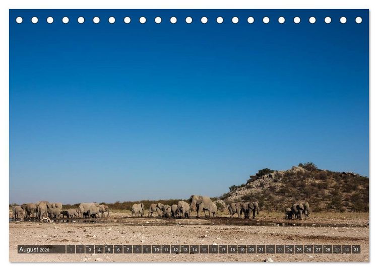 Produktbild: Wildes Namibia (Tischkalender 2026 DIN A5 quer), CALVENDO Monatskalender