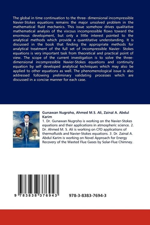 Produktbild: The Navier-Stokes Equations