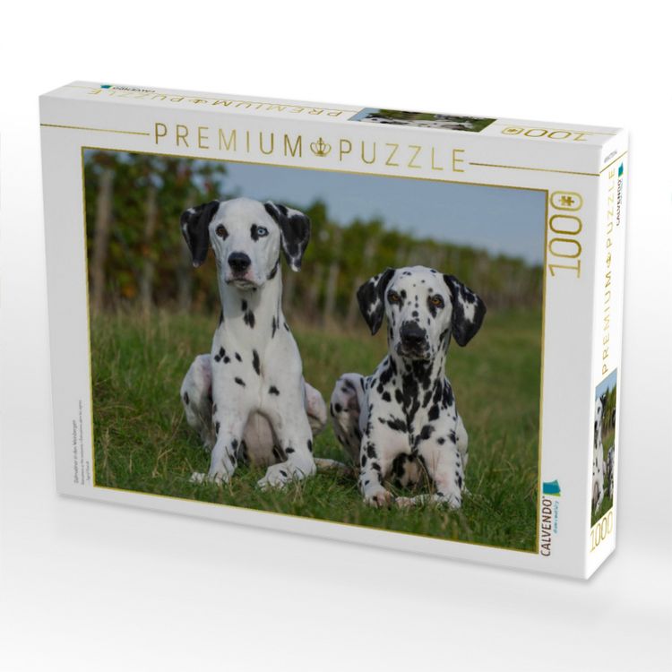 Produktbild: CALVENDO Puzzle Dalmatiner in den Weinbergen | 1000 Teile Lege-Gr&ouml;&szlig;e 64x48cm Foto-Puzzle f&uuml;r gl&uuml;ckliche Stunden