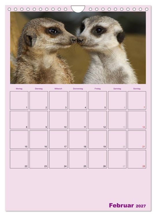 Produktbild: Erdm&auml;nnchen / Terminplaner (Wandkalender 2027 DIN A4 hoch), CALVENDO Monatskalender