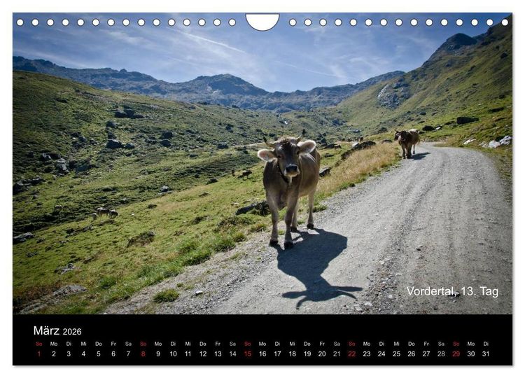 Produktbild: TransAlp - zu Fu&szlig; &uuml;ber die Alpen von M&uuml;nchen nach Venedig (Wandkalender 2026 DIN A4 quer), CALVENDO Monatskalender