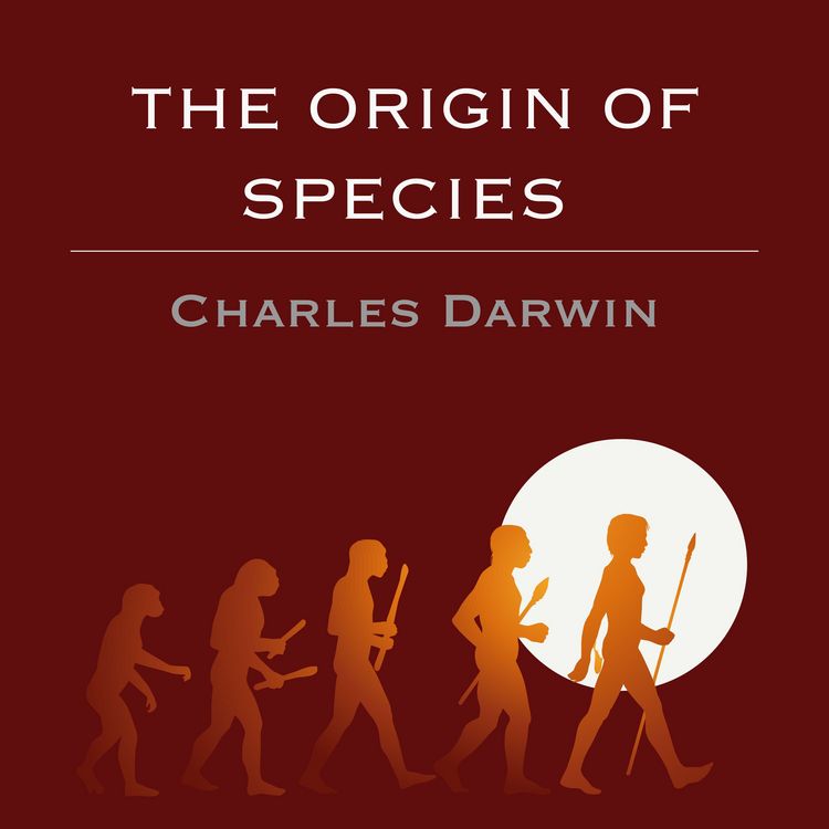 Produktbild: The Origin of Species