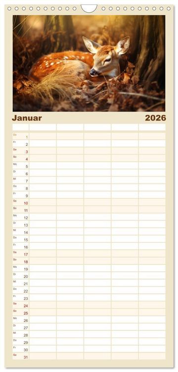 Produktbild: Familienplaner 2026 - Wenn sie schlafen... mit 5 Spalten (Wandkalender, 21 x 45 cm) CALVENDO