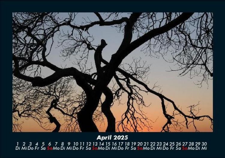 Produktbild: Landschaftskalender 2025 Fotokalender DIN A5