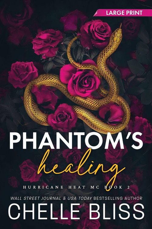 Produktbild: Phantom's Healing