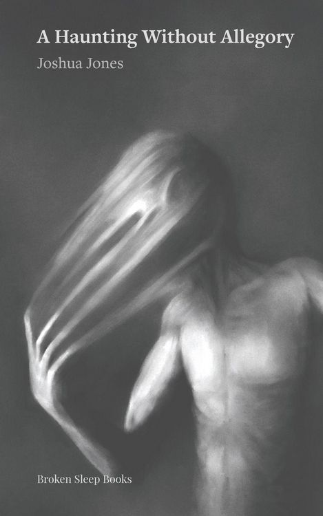Produktbild: A Haunting Without Allegory