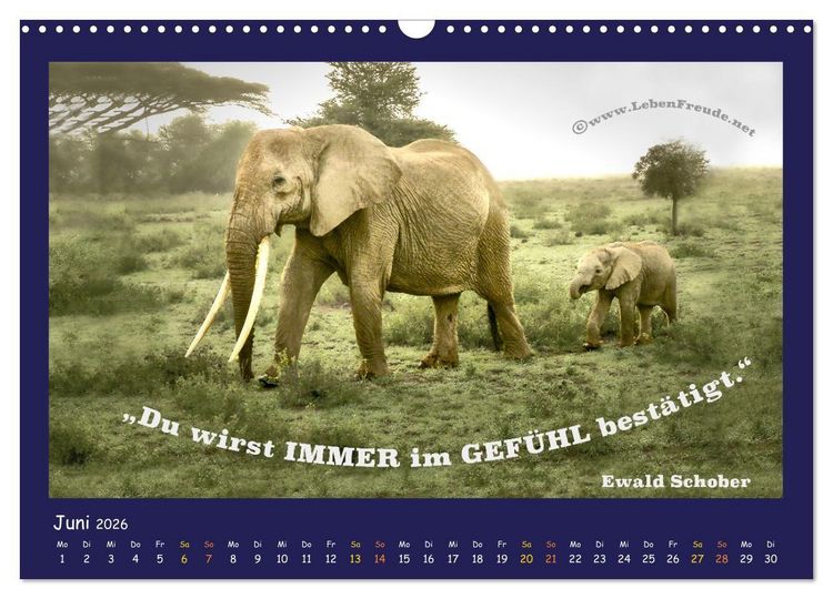 Produktbild: Bewusst leben und gl&uuml;cklich sein (Wandkalender 2026 DIN A3 quer), CALVENDO Monatskalender