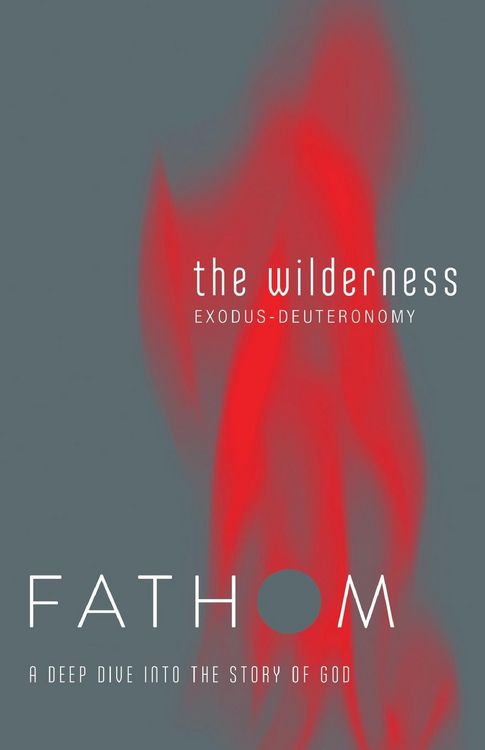 Produktbild: Fathom Bible Studies: The Wilderness Student Journal (Exodus-Deuteronomy)
