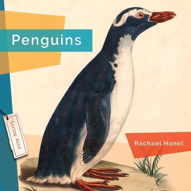 Produktbild: Penguins