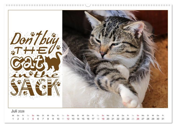 Produktbild: Tierisch Denglisch (Wandkalender 2026 DIN A2 quer), CALVENDO Monatskalender