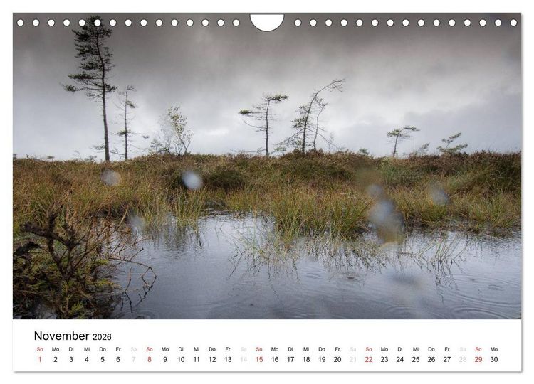Produktbild: Naturerlebnis im Biosph&auml;renreservat Rh&ouml;n (Wandkalender 2026 DIN A4 quer), CALVENDO Monatskalender