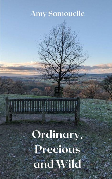 Produktbild: Ordinary, Precious and Wild