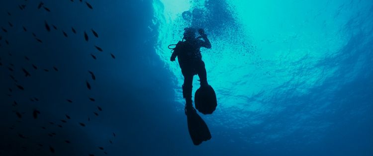 Produktbild: The Dive