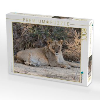 Produktbild: CALVENDO Puzzle Alte L&ouml;win bei Leeubron, Etosha | 1000 Teile Lege-Gr&ouml;&szlig;e 64x48cm Foto-Puzzle f&uuml;r gl&uuml;ckliche Stunden